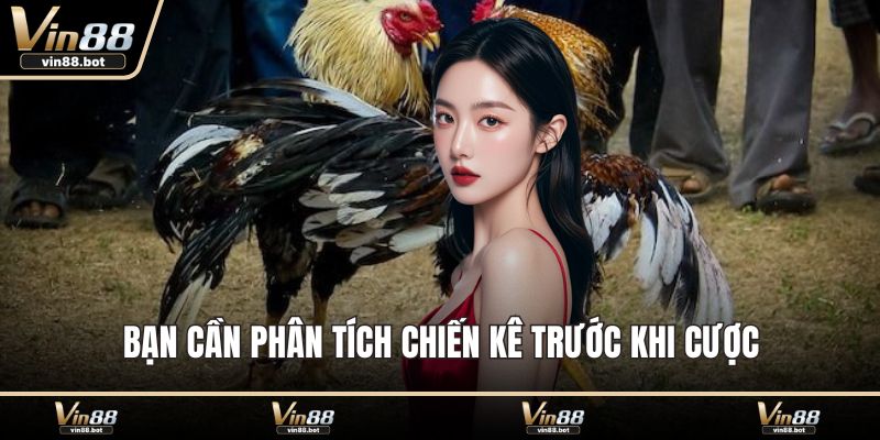 Bạn cần phân tích chiến kê trước khi cược