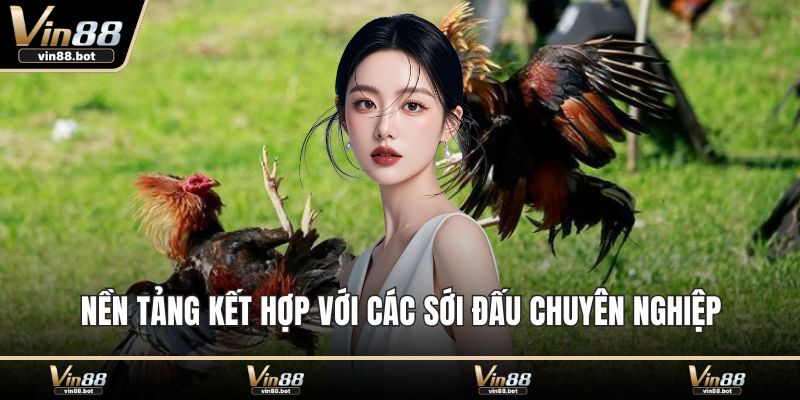 Nền tảng kết hợp với các sới đấu chuyên nghiệp