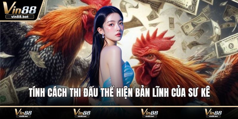 Tính cách thi đấu thể hiện bản lĩnh của sư kê