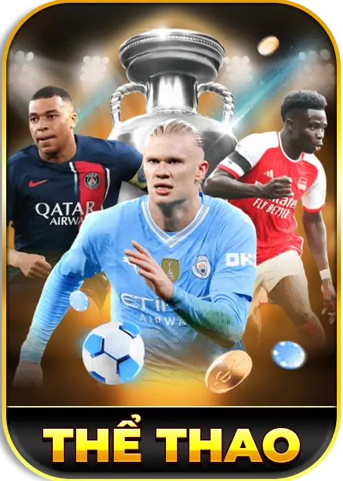 frame thể thao vin88