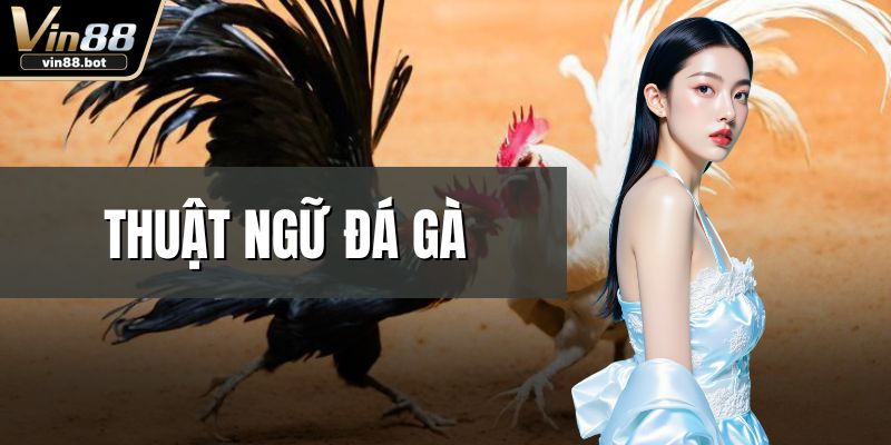 Thuật Ngữ Đá Gà